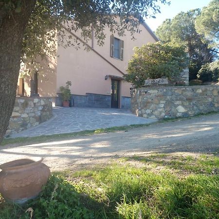 Agriturismo Il Pozzo Campagnatico Ngoại thất bức ảnh