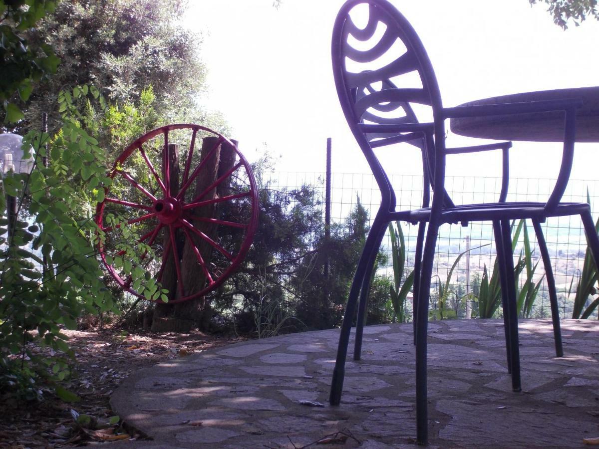 Agriturismo Il Pozzo Campagnatico Ngoại thất bức ảnh